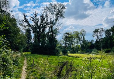 Tocht Stappen Hoegaarden - Le bois de Meldert et son château à Hoegaarden - Photo