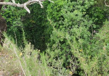 Tour Wandern Le Beausset - Signes l'ancienne bergerie de Sioux Blanc  - Photo