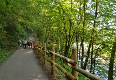 Tocht Stappen Durbuy - Durbuy - MESA 2021 - Photo