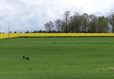 Tour Wandern Archettes - Archettes Lamenil Archettes - Photo