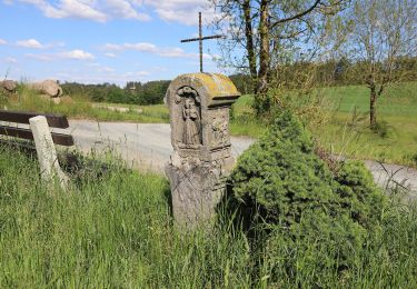 Trail On foot Wallenfels - Allerswald-Weg RT 14 - Photo