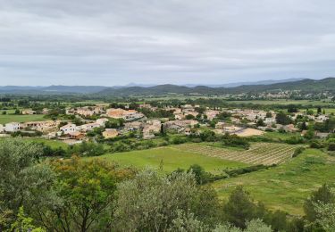 Trail On foot Montmirat - Montmirat-2 - Photo