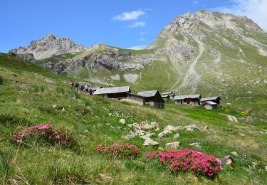 Excursión Senderismo Arvieux - Brunissard - Pré des Vaches - Chalets de Clapeyto - Col de Cros - Photo