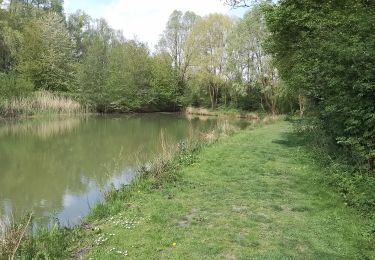 Randonnée Marche Allennes-les-Marais - Allennes les Marais Les étangs de Don - Photo