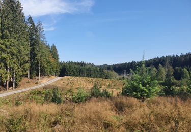 Tocht Stappen Florenville - rando les epioux 15/09/2020 - Photo
