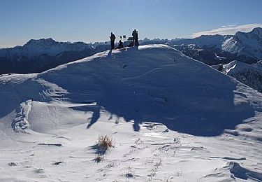 Excursión A pie Sauris - IT-206 - Photo