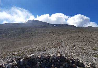 Trail Walking Montmaur - pic de bure  - Photo