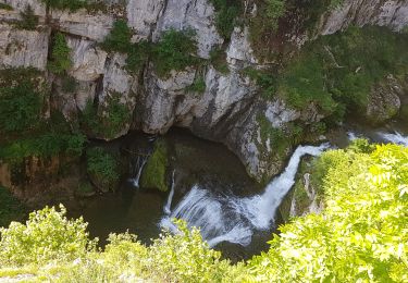 Trail Walking Le Vaudioux - La Billaude 20190619 - Photo