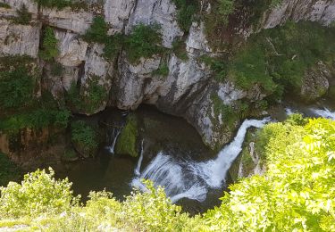 Excursión Senderismo Le Vaudioux - La Billaude 20190619 - Photo