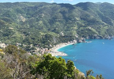 Trail Walking Levanto - Levanto -  Vernazza - Photo