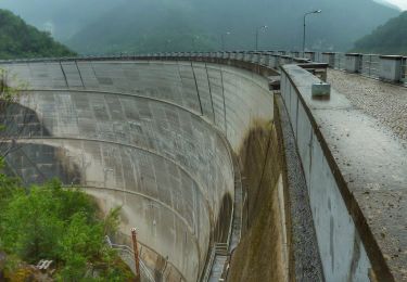 Excursión A pie Gargnano - Navazzo - Primo ponte Valvestino - Photo