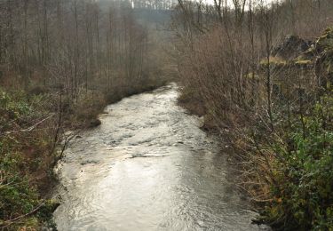 Tocht Stappen Yvoir - Petite balade du Bocq au départ de Durnal - Photo