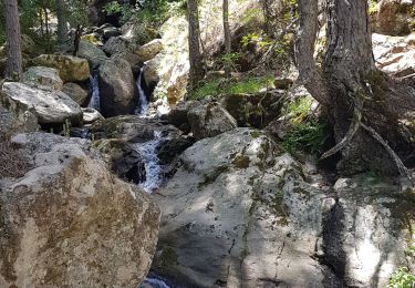 Randonnée Marche Asco - Haute-Corse- Gorges de l Asco - Photo