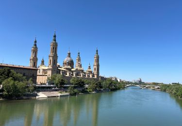 Excursión Senderismo Pina de Ebro - CAMINO CATALAN PINA DE EBRO-ZARAGOZA - Photo