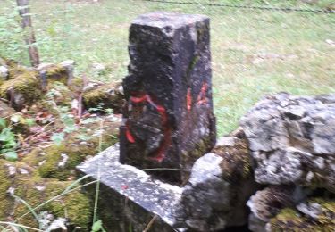 Tocht Stappen Sainte-Croix - Sentier des bornes sud  - Photo