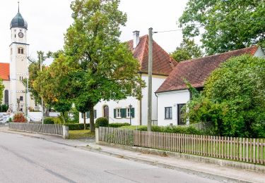 Percorso A piedi  - Um den Sulzkopf - Photo