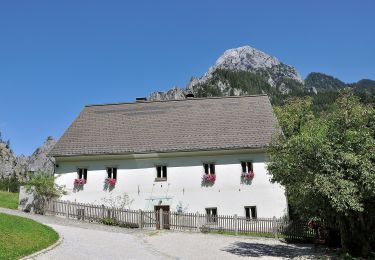 Excursión A pie Admont - Wanderweg 77, Sonnenseitenweg - Photo