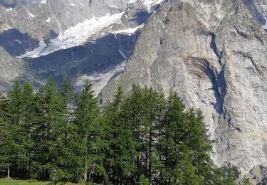 Tour Wandern Courmayeur - étape monte Bianco mottets - Photo