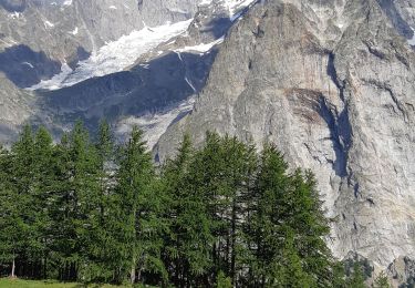 Percorso Marcia Courmayeur - étape monte Bianco mottets - Photo