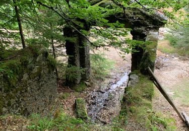 Trail Walking Saint-Sauveur-Camprieu - Col du Faubel  lac Camprieu Col du faubel - Photo