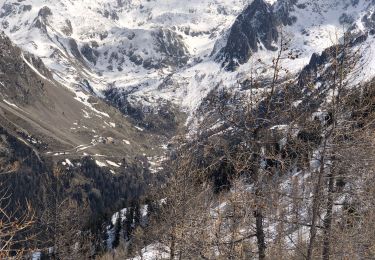 Tocht Sneeuwschoenen Belvédère - Baisse de Ferisson - Photo