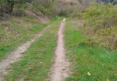 Tocht Stappen Enval - Le sentier du Renard 🦊 l'Apage  - Photo