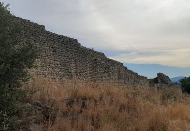 Trail Walking Ganagobie - GANAGOBIE  . Tour par le bas . Visite Ganagobie  o  m s  - Photo
