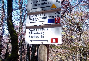 Tocht Stappen Le Valtin - Col de la Schlucht - Lac  Vert (25/6/2020) - Photo