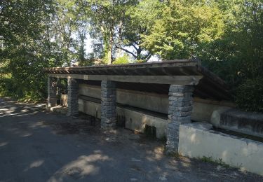 Excursión Senderismo Saint-Christol-lez-Alès - Randonnée Domaine du Rouret 20 mai 2020  - Photo