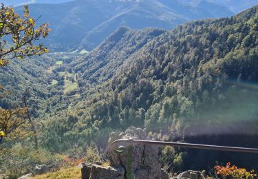Trail Walking Metzeral - Le belvédère du 1e Spitzkopf - Photo