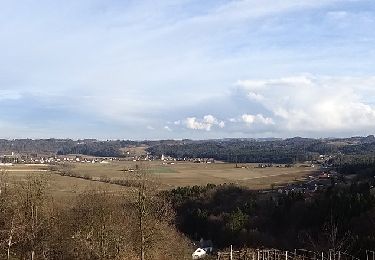 Tocht Te voet Kitzeck im Sausal - Panoramagalerie Sulmtal - Sausal - Kunst und Wein - Photo