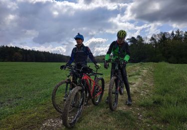 Trail Mountain bike Vathiménil - sortie VTT du 05052019 vathi gerbeviller - Photo