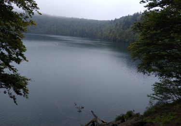 Randonnée Marche Besse-et-Saint-Anastaise - lac pavin - Photo