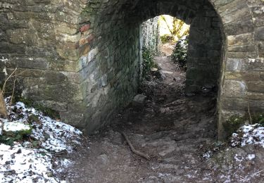 Trail On foot Sprimont - SityTrail - chateau florze - Photo