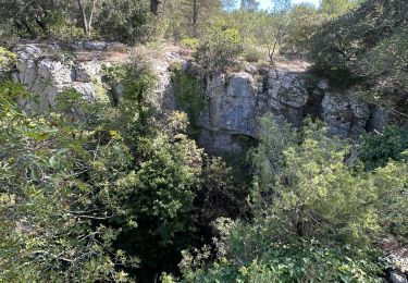 Trail Walking Le Beausset - LES 4 FRÈRES - Photo