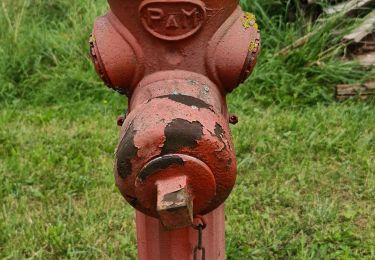 Excursión Senderismo Tarquimpol - Tarquimpol - Lindre - les Etangs - Photo