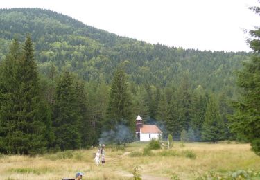 Trail On foot Băile Tușnad - oraș Băile Tușnad - sub Vf. Ciomatul Mic - Cabana Lacul Sfânta Ana - Photo