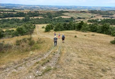 Tour Wandern Belvèze-du-Razès - Belvèze Sentier des vignerons - Photo