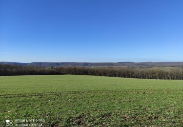 Trail Walking Velars-sur-Ouche - velars - Photo