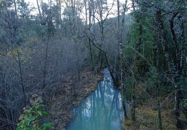 Trail Walking Sanilhac - 07 la tour de Brison 27/11/24 - Photo