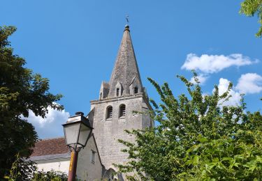 Tocht Stappen Azay-sur-Cher - Azay-sur-Cher - Château de Nitray - Chandon - 22.3km 205m 5h10 (55mn) - 2025 05 14 - Photo