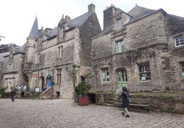 Percorso Marcia Pluherlin - GRP_Lanvaux_AH_08_Rochefort-Terre_Limerzel_20210515 - Photo