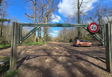 Percorso Marcia Auvers-Saint-Georges - Morigny-Champigny - Photo