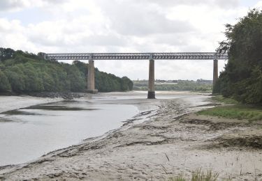 Tour Zu Fuß Henvic - Boucle du Vanneg - Photo