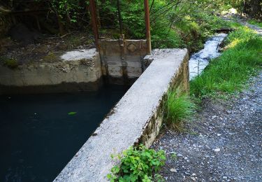 Trail Nordic walking Arbaz - 23.06.20 bisse de Grimisuat  - Photo