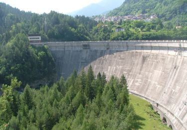 Tour Zu Fuß Pieve di Cadore - IT-351 - Photo