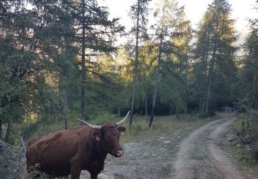 Tour Wandern Ubaye-Serre-Ponçon - Clot la Cime - Photo