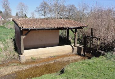 Trail On foot Teilhet - Chez Sagoueix - Photo