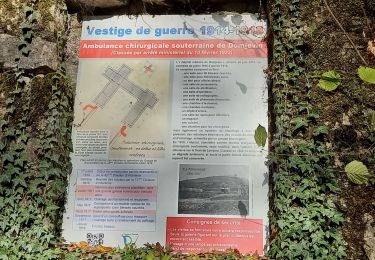Trail Electric bike Saint-Clément - sortie vtt 22102023 GR 534 Leintrey - Photo