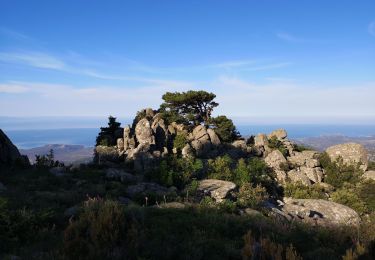 Tour Wandern Monacia-d'Aullène - omu di cagna, col du Monaco, omu d'ovace - Photo